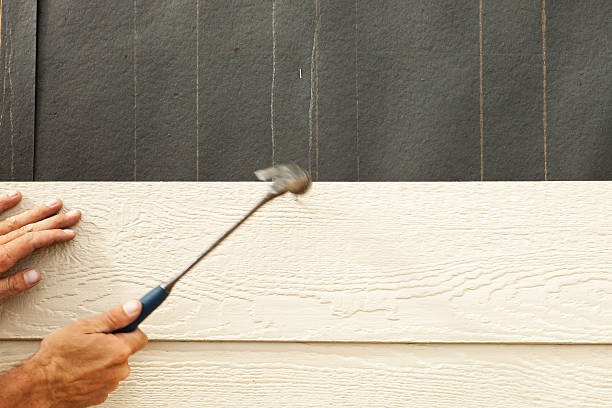 Best Engineered Wood Siding  in Lake Village, AR